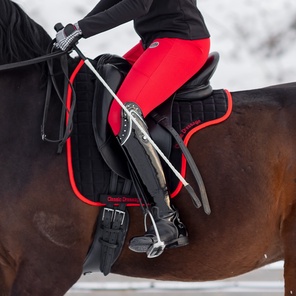 Выездковый хлыст